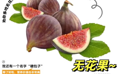 砂仁的功效与主治作用及禁忌-砂仁药用功效与作用是什么网- 砂仁的药效功能作用知识,分享砂仁功效与作用的功效与作用及禁忌症